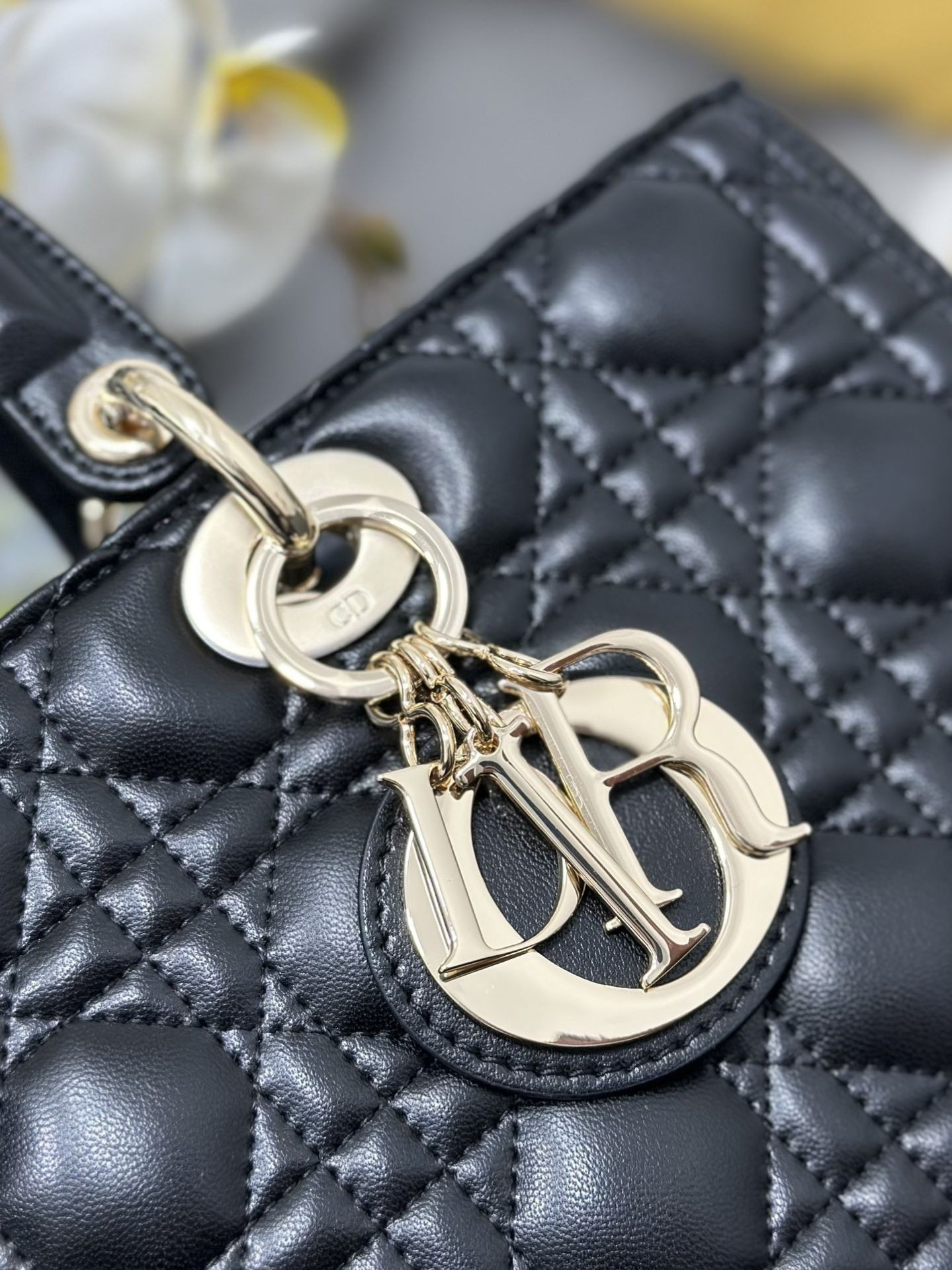 D*or lady bag 32 x 25 x 11cm