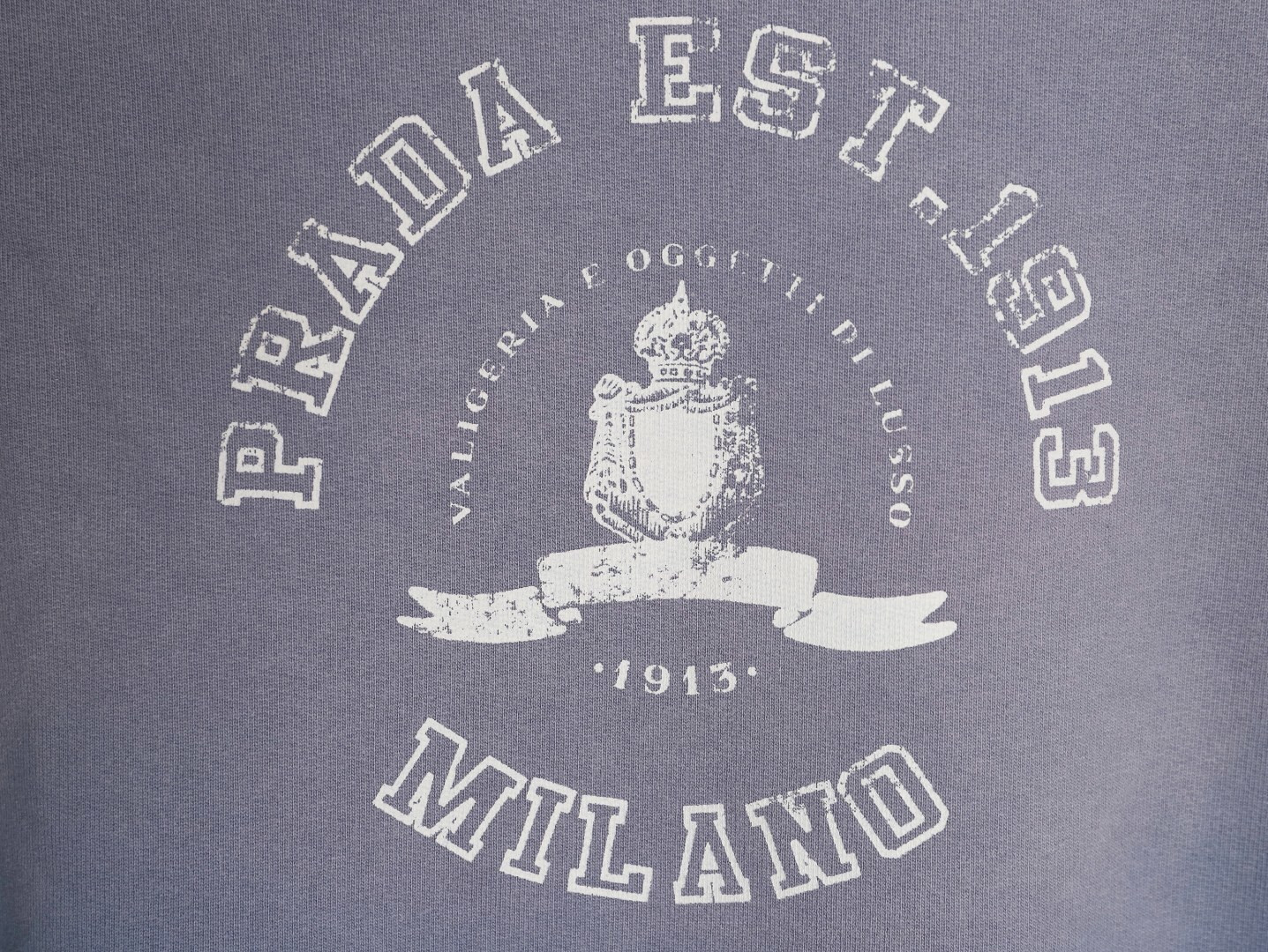 Pra*a prd hoodies