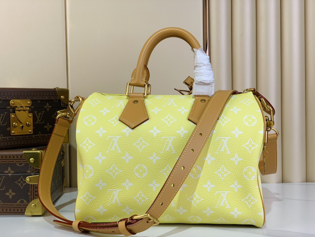 LV SPEEDY BANDOULIÈRE25 M13902