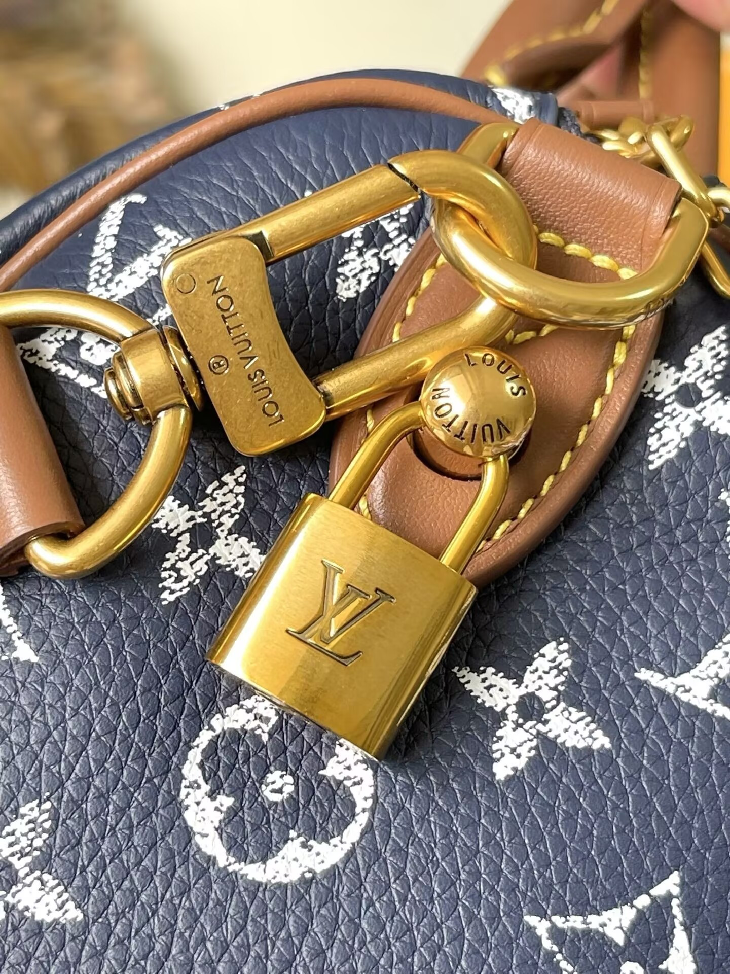 LV Speedy P9 Bandoulière 25 M15278 25x15x15cm