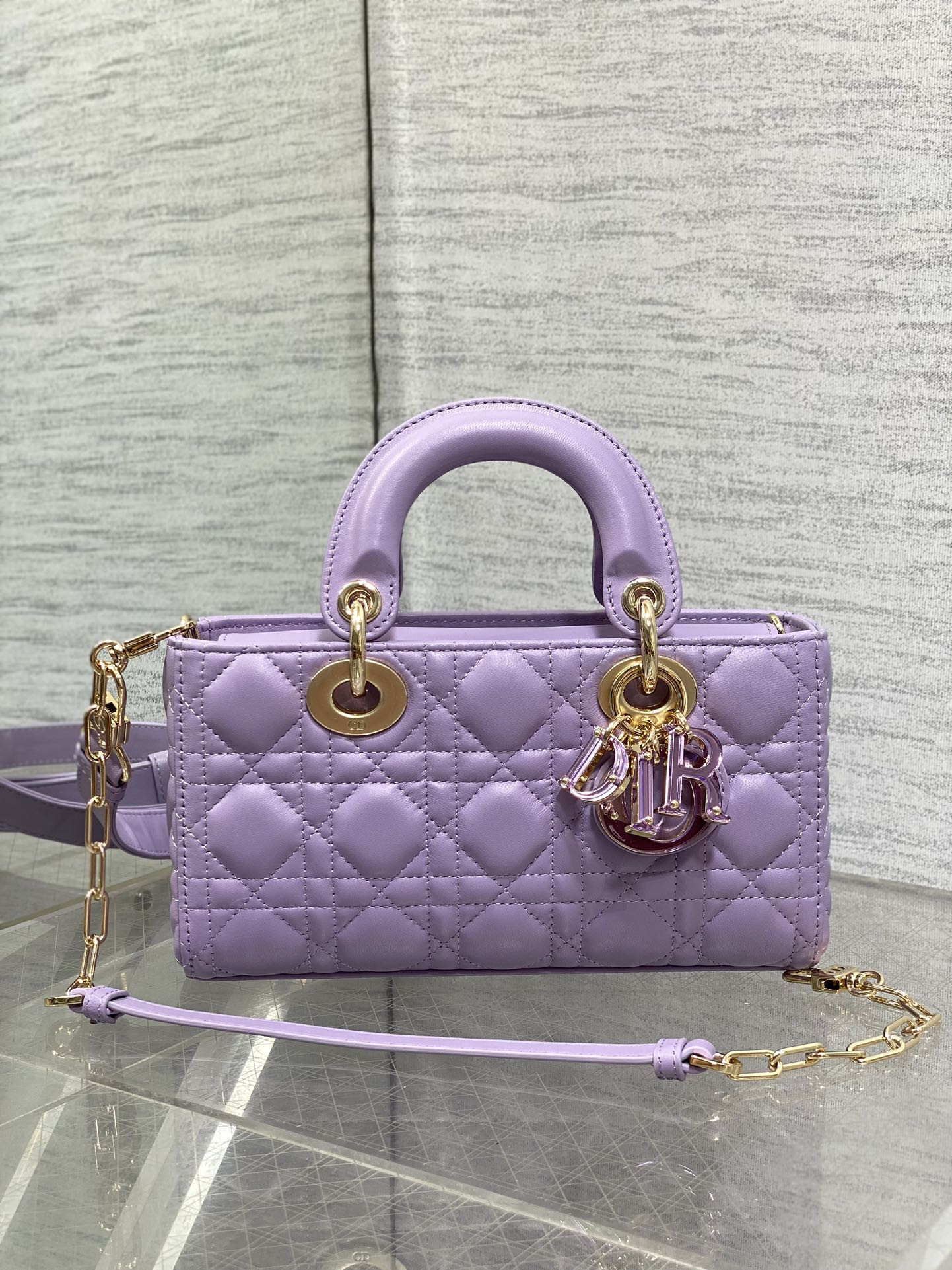 D*or samll d-joy bag 22.5 x 6 x 11.5cm