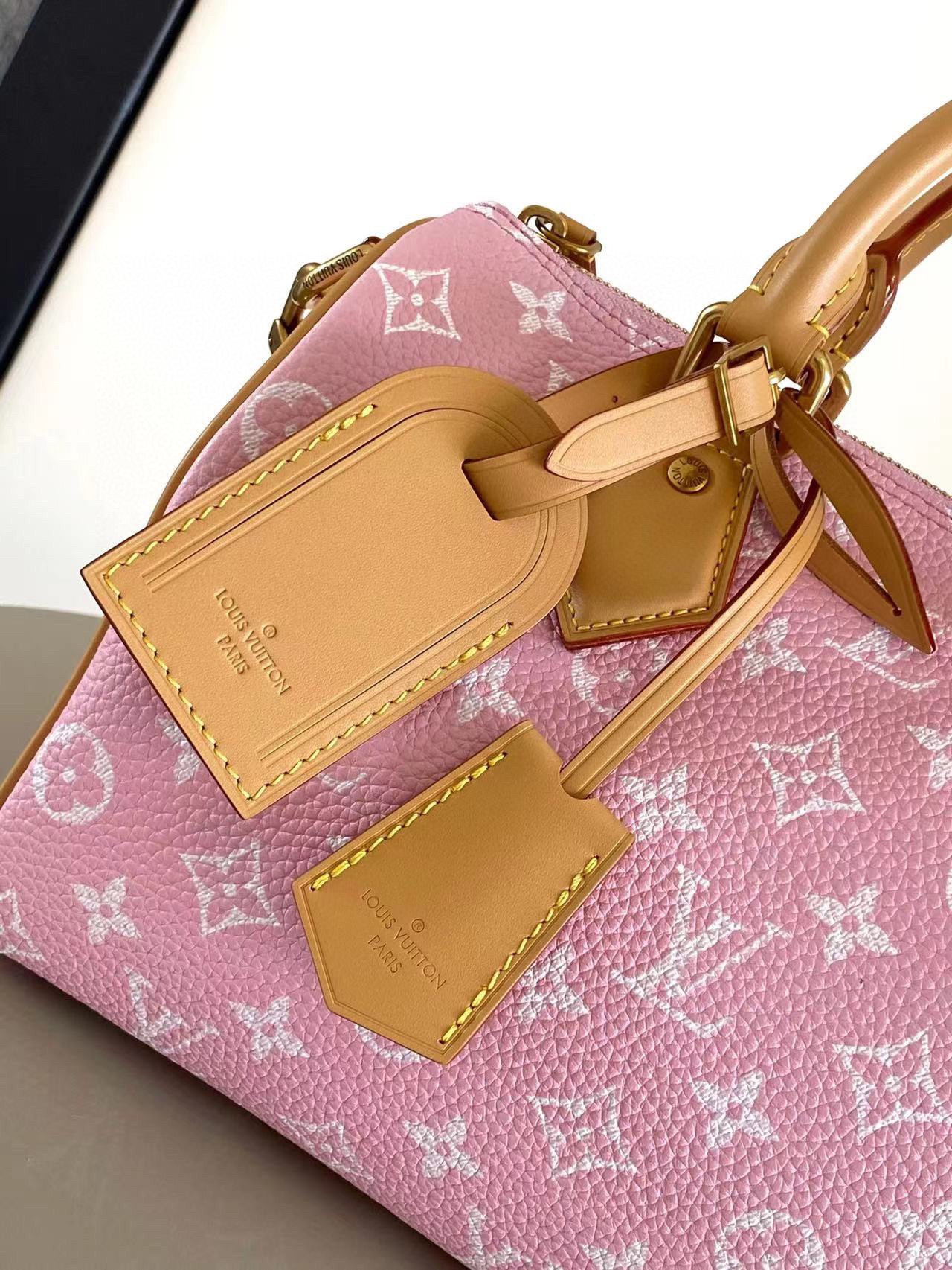 LV SPEEDY BANDOULIÈRE25 M24423