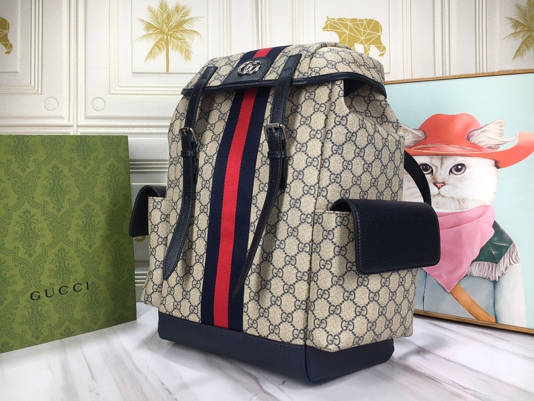 Gvc*1 Ophidia Gg Medium Backpack Blue 40Cm 598140 Huhan 4079